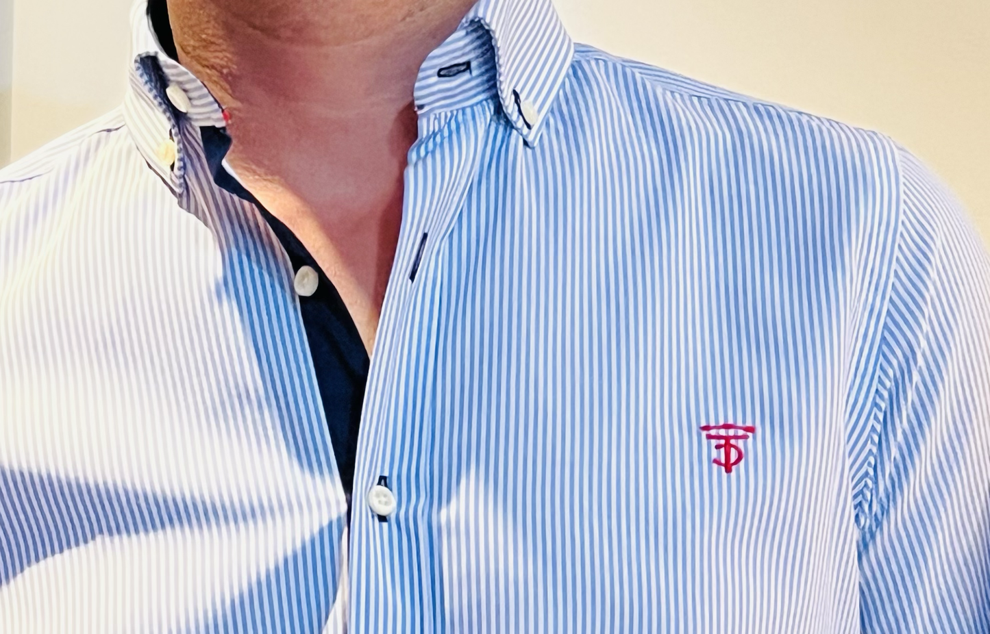 Camisa Rayas Celeste Top